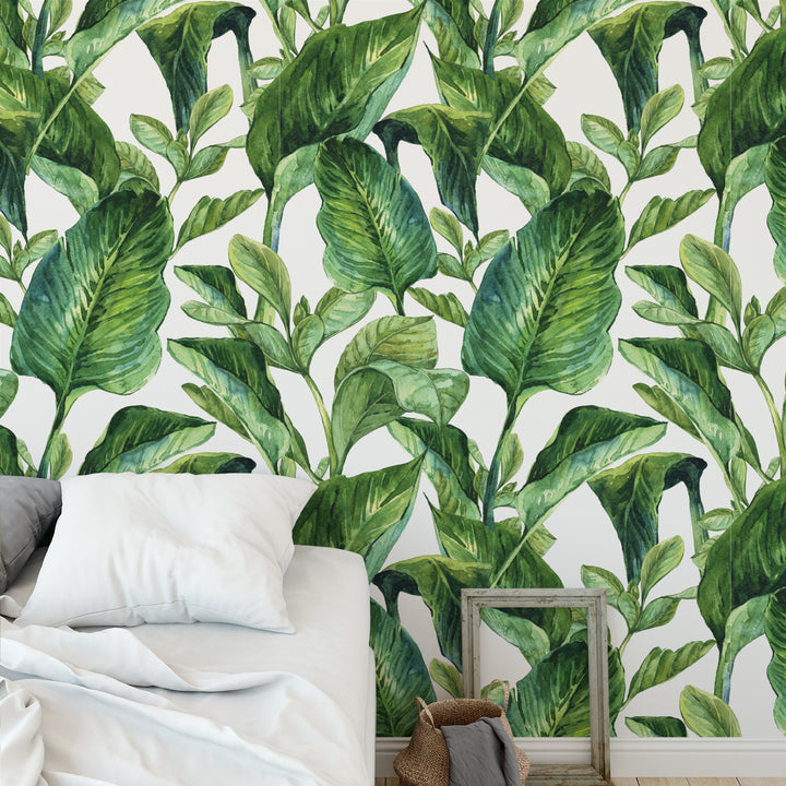 Banana Leaf Greenery Wallpaper